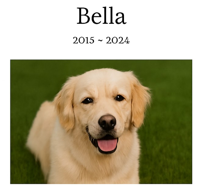 memorial for family dog Bella
