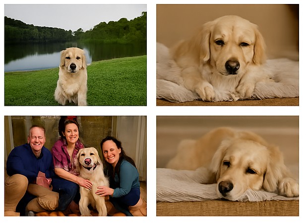 memorial for family dog Bella