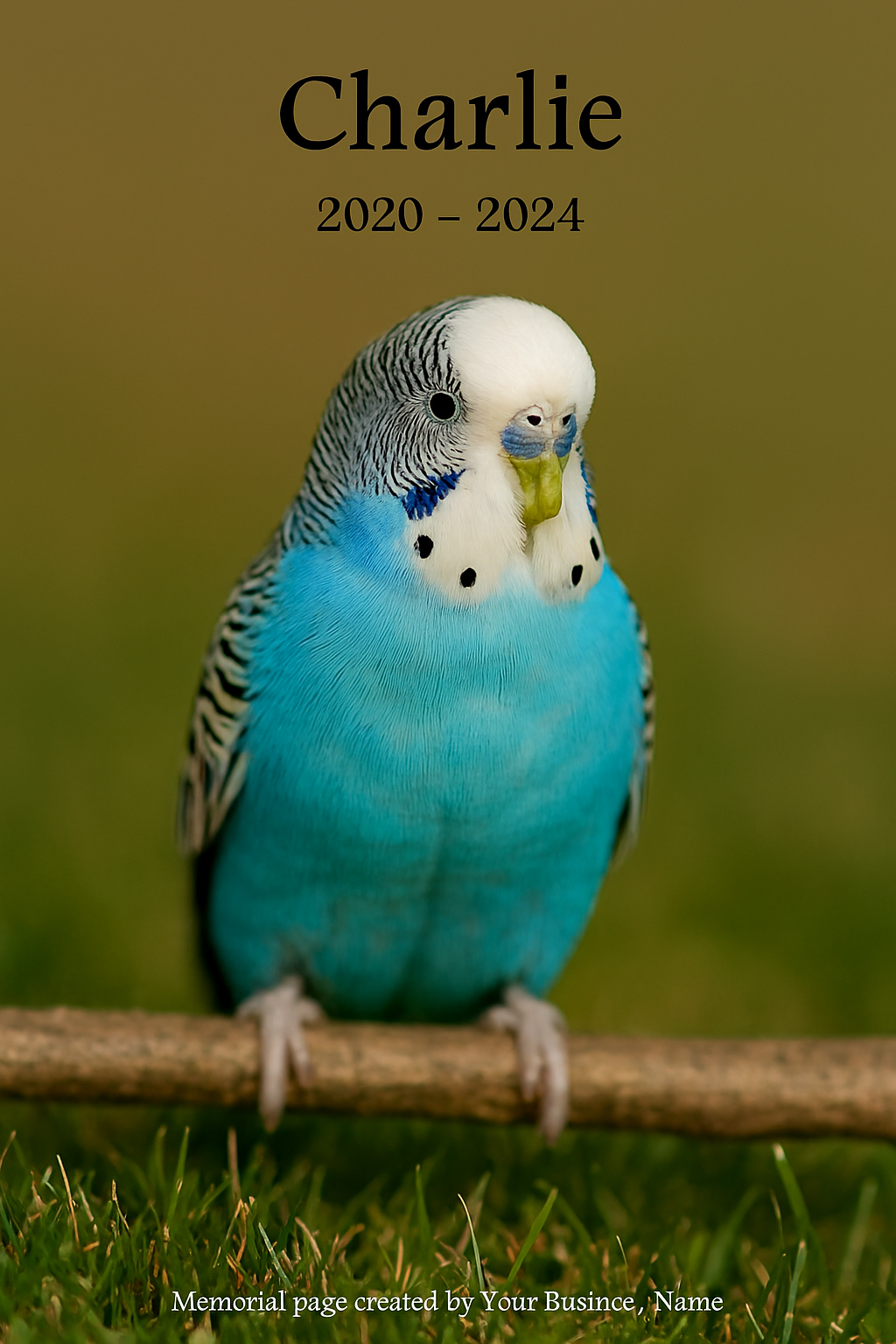 memorial for family rabbit willow