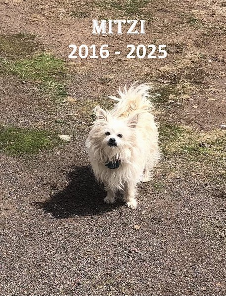 memorial for family dog Mitzi